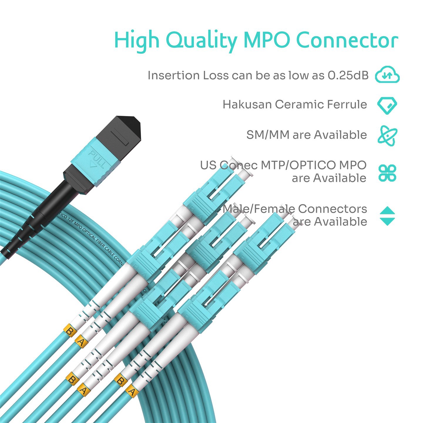 MPO MTP Branch Jumper MPO MTP Branch Jumper