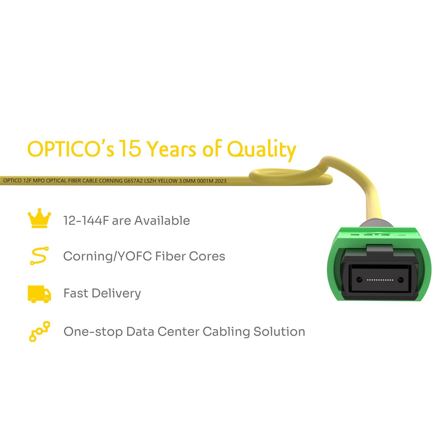 12-Fiber MPO-ST Breakout Cable